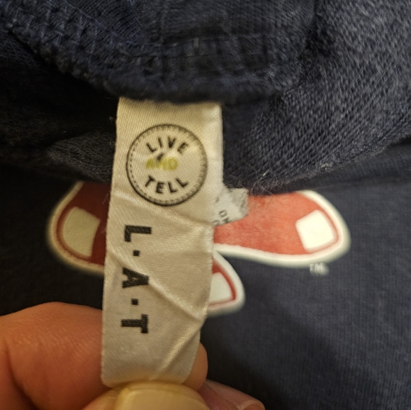 Boston Red Sox Hoodie. Size:L. - Picture 4 of 5